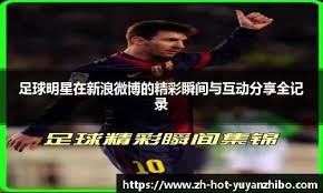 惠勒投球模型分析