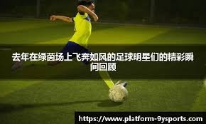 体彩数据：盘口噪音与真实信号的区分。（从体彩数据看：如何辨析盘口噪音与真实信号）